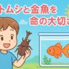 金魚とカブトムシを飼育している子供