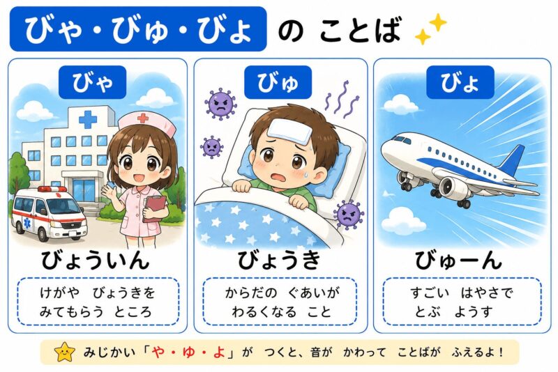 びゃ・びゅ・びょ（拗音）視覚支援カード