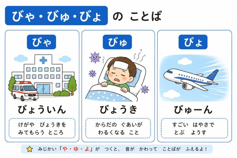 びゃ・びゅ・びょ（拗音）視覚支援カード