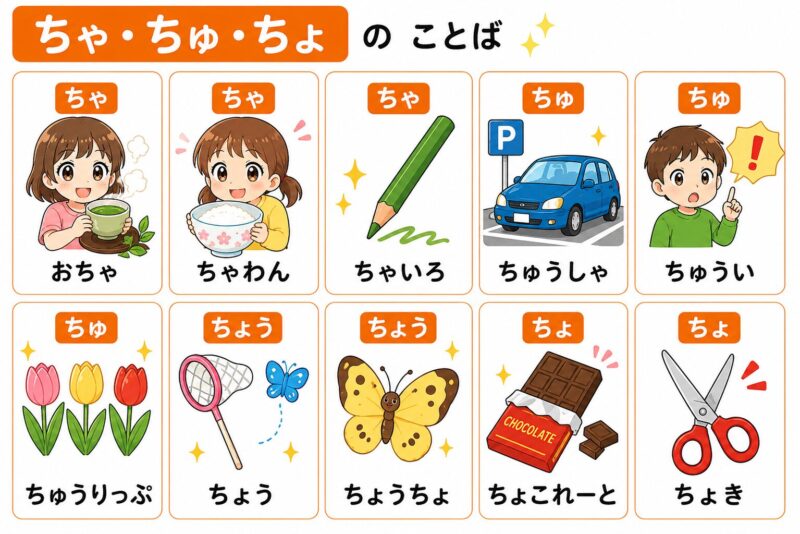 ちゃ・ちゅ・ちょ（拗音）視覚支援カード