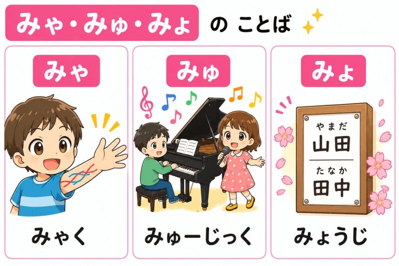 みゃ・みゅ・みょ（拗音）視覚支援カード