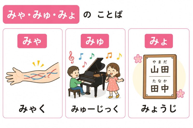 みゃ・みゅ・みょ（拗音）視覚支援カード