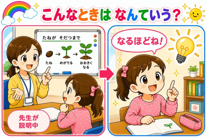 なるほどね　視覚支援
