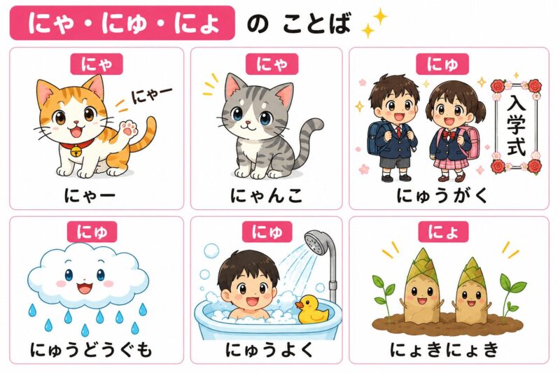 にゃ・にゅ・にょ（拗音）視覚支援カード