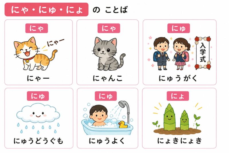 にゃ・にゅ・にょ（拗音）視覚支援カード