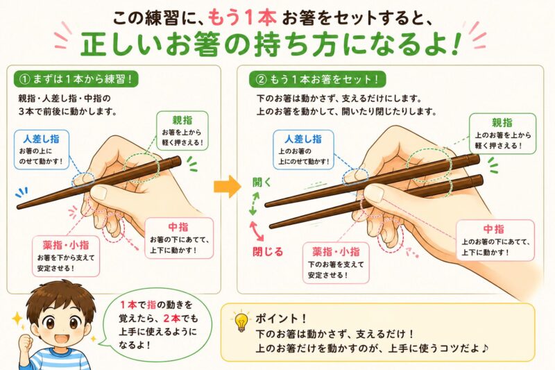 お箸の練習（1本→2本へ）