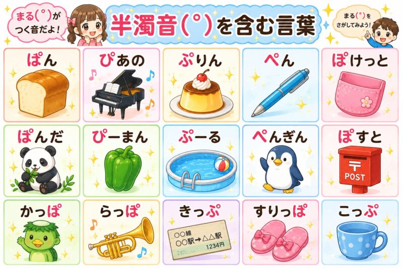 半濁音を含む言葉視覚支援カード