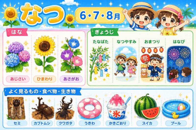 季節の視覚支援カード（夏）