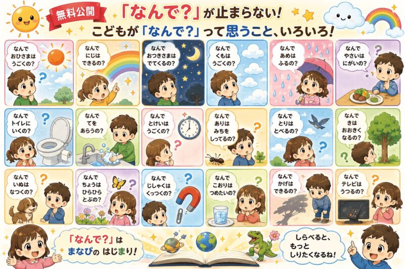 身近な何で？