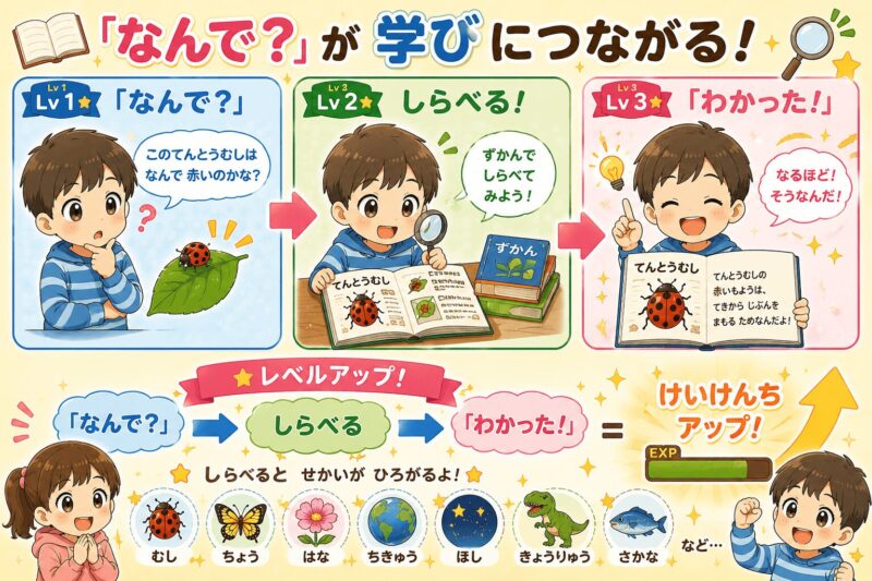 なんで？が学びにつながる視覚支援カード（レベルアップ）