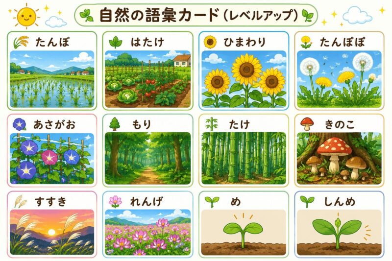 自然視覚支援カード（レベルアップ）
