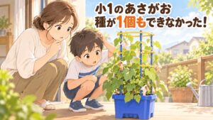 小1の夏休みに持ち帰ったあさがおに種ができず、鉢を確認する母親と男の子