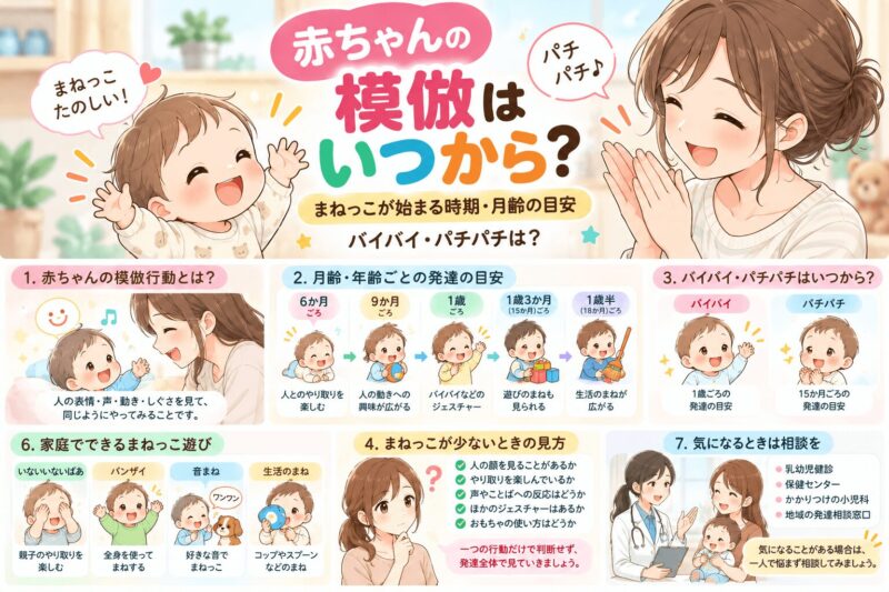 赤ちゃんの模倣行動を6か月から1歳半まで月齢別に示した発達の目安