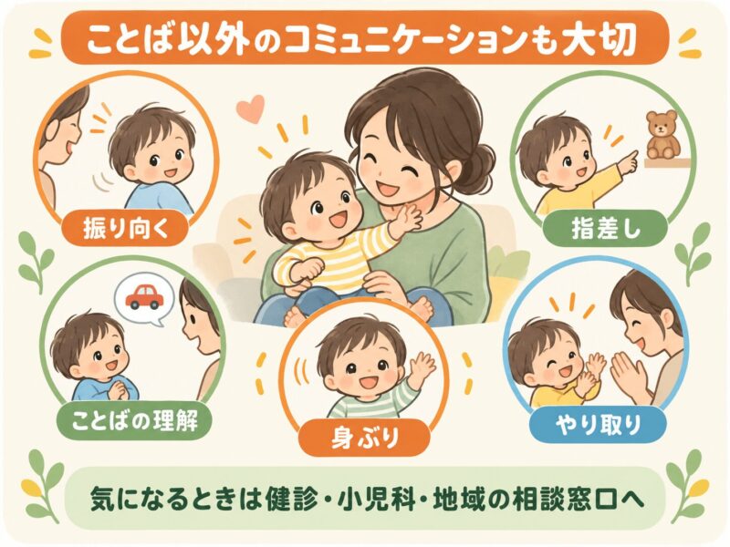振り向く・指差し・言葉の理解・身ぶり・やり取りなど言葉以外のコミュニケーション
